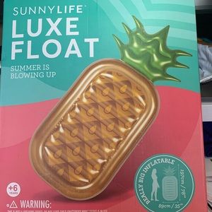 Pineapple Pool Float New In Box (NIB)